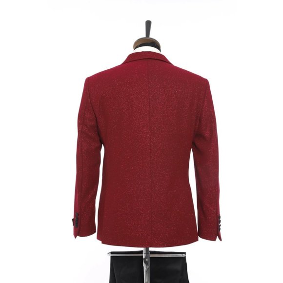 Derman Red Pointed Collar Silvery Classic 2 Piece Tuxedo - Picture 3 of 5